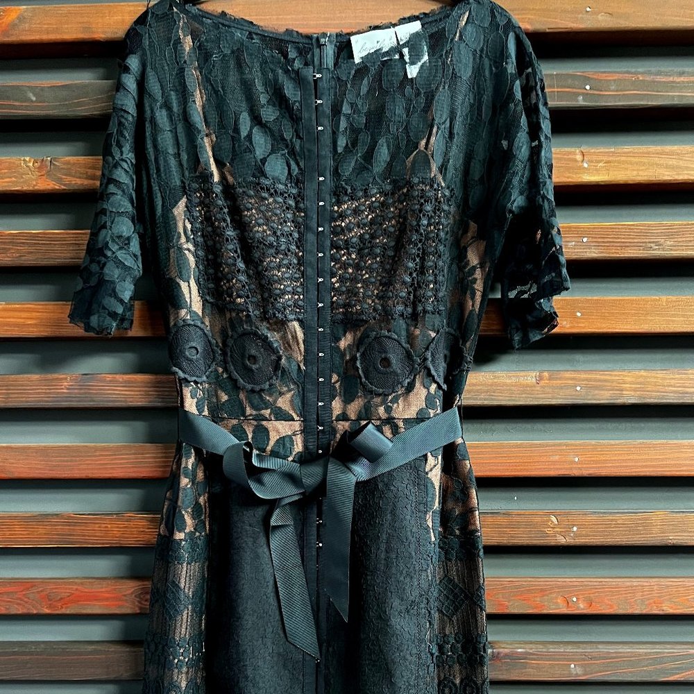 Stunning midi, black and neutral embroidered overlay dress from Anthro, sz 6.